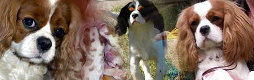 Example pic